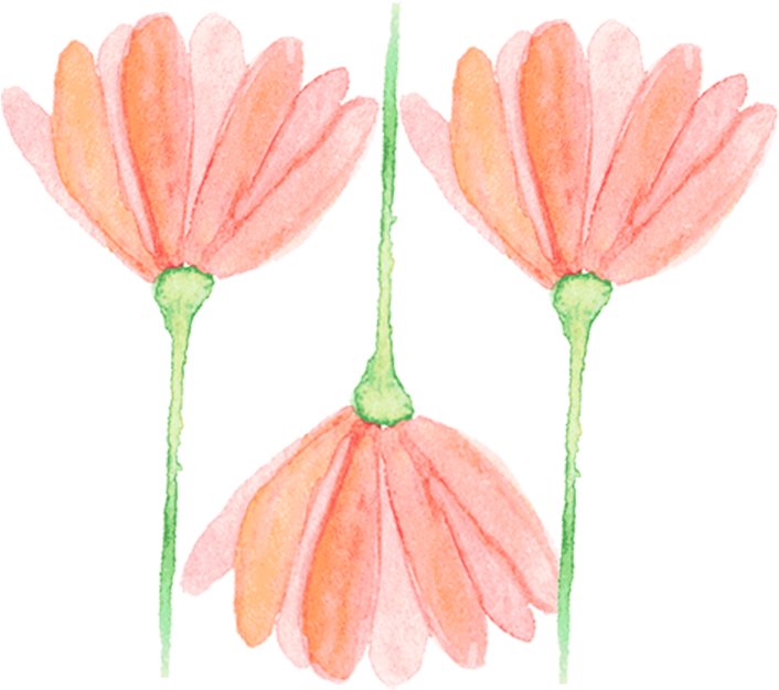 Popupflower - Portable Network Graphics (740x667), Png Download