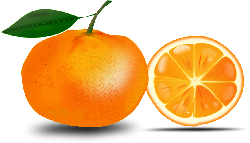 Clipart Free Download Slice Of An Orange Printables - Free Clip Art Orange (900x508), Png Download