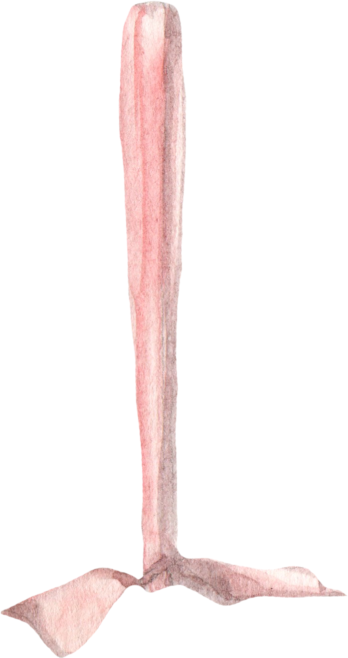 H895 - Hardwood (731x1371), Png Download