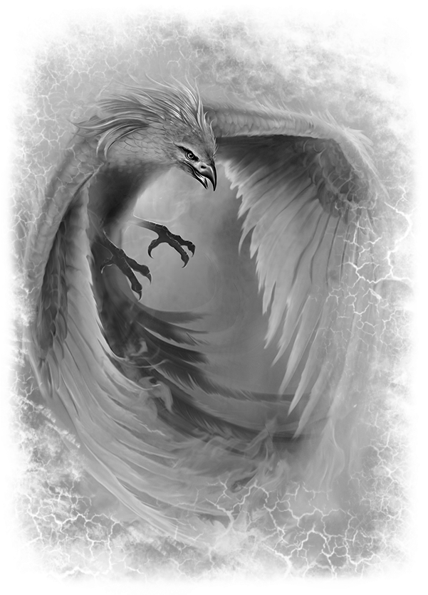 News - Pretty Bird Chicken (600x845), Png Download
