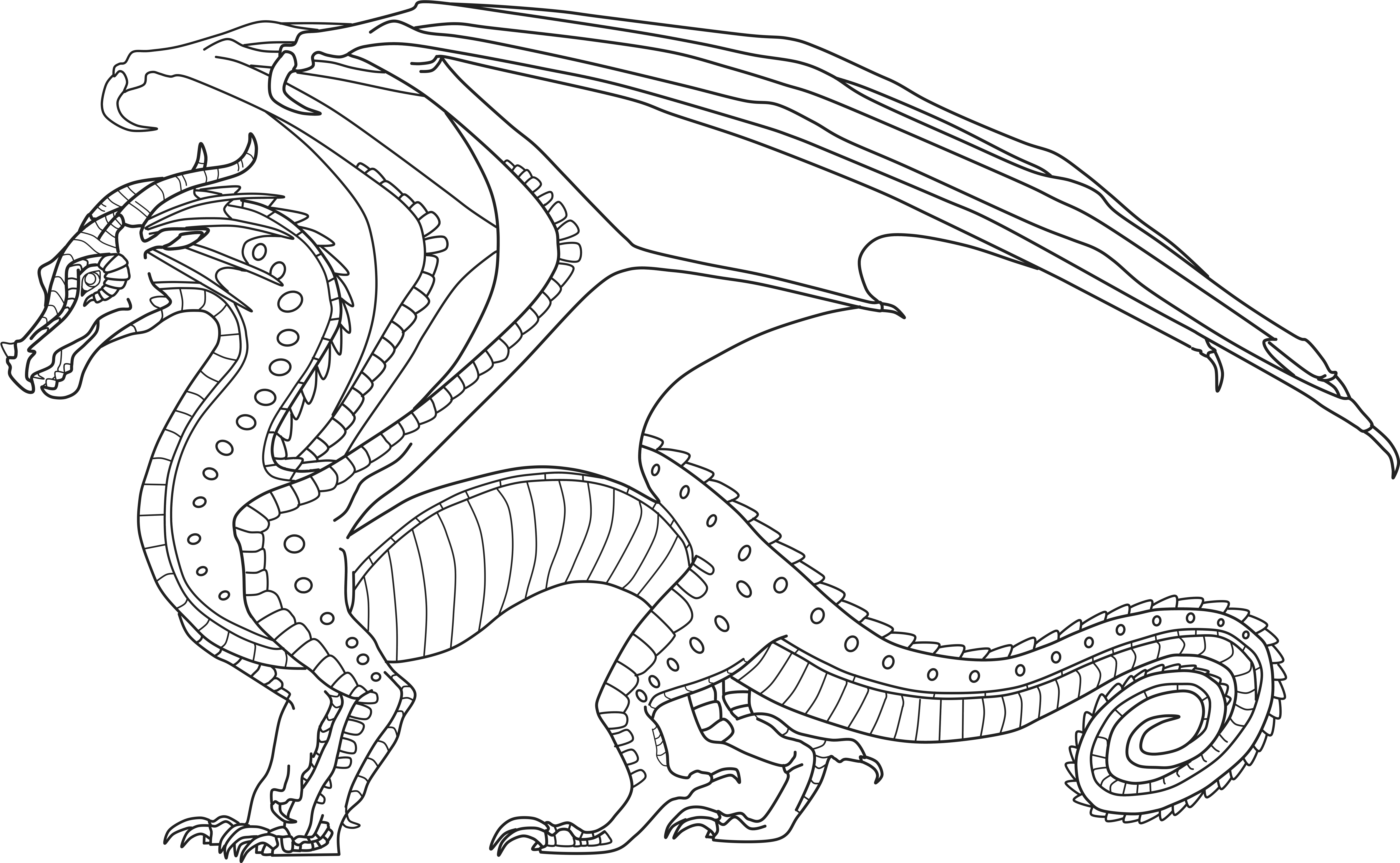 Download Skywing Dragon From Wings Of Fire Coloring Page Free Wings 