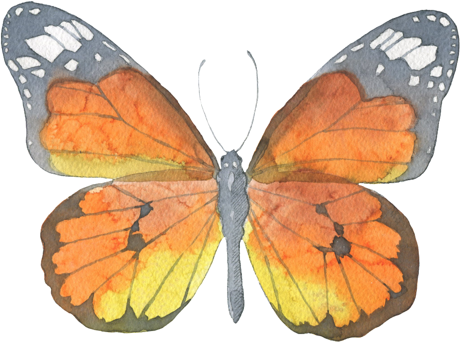 Brown Butterfly Watercolor Transparent Decorative Pattern - Butterfly Watercolor (1024x775), Png Download