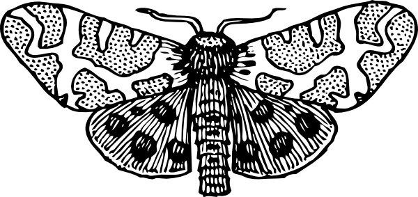 Moth Clipart Clip Art - Moth Clipart Black And White (600x283), Png Download