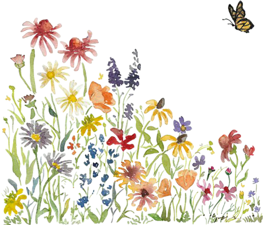 download-watercolor-flowers-flowerlover-flor-flores-sticker