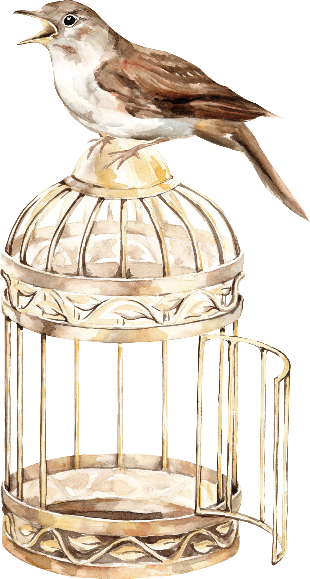 Bird Cage Transparent Background Png (1024x1911), Png Download