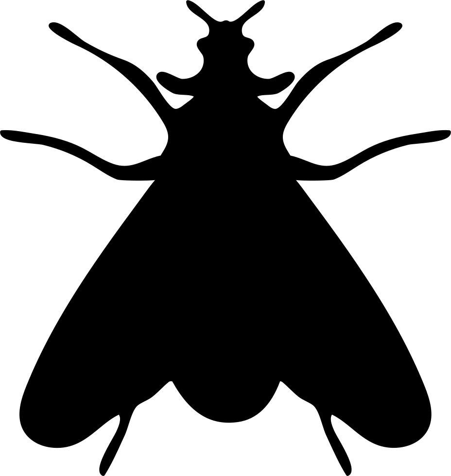 Moth Insect Shape Comments - Fly Silhouette Png (928x980), Png Download