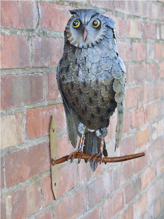 Ornament (1152x768), Png Download