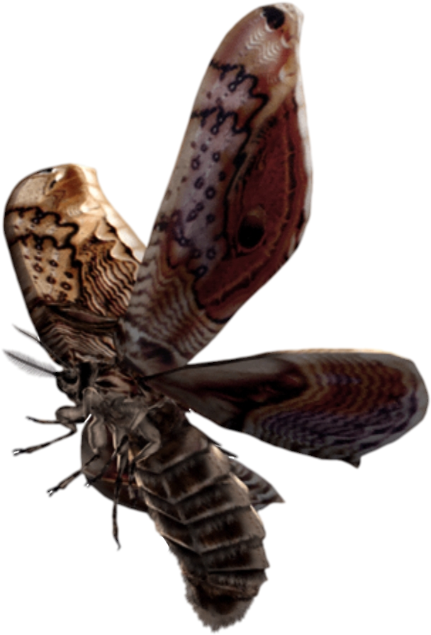 Giant Moth - Resident Evil Moth (647x916), Png Download