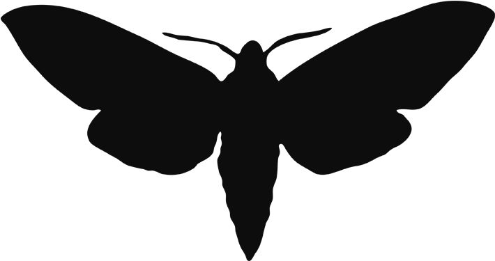 Bass Transparent Moth Banner Transparent - Moth Silhouette (724x724), Png Download