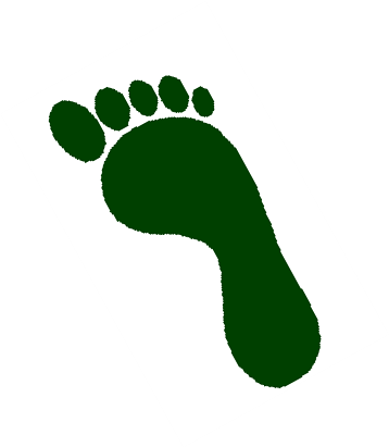 Footprint (358x411), Png Download