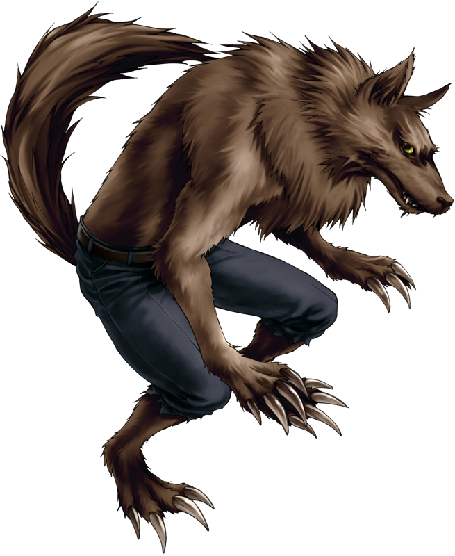 Werewolf - Werewolf Png (655x800), Png Download