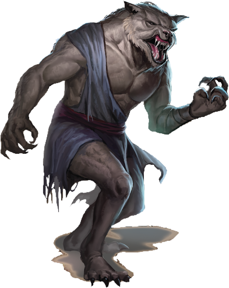 Werewolf Png - Curse Of Strahd Werewolf (796x988), Png Download