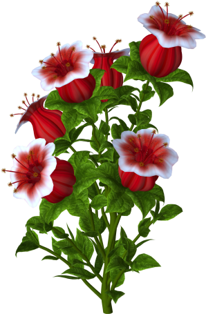 Pin By Fatma Özbulal On Çiçekler - Flower (302x462), Png Download