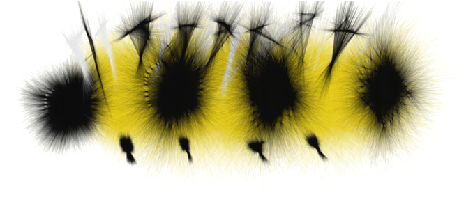 Caterpillar Transparent Png - Caterpillar Transparent (900x294), Png Download
