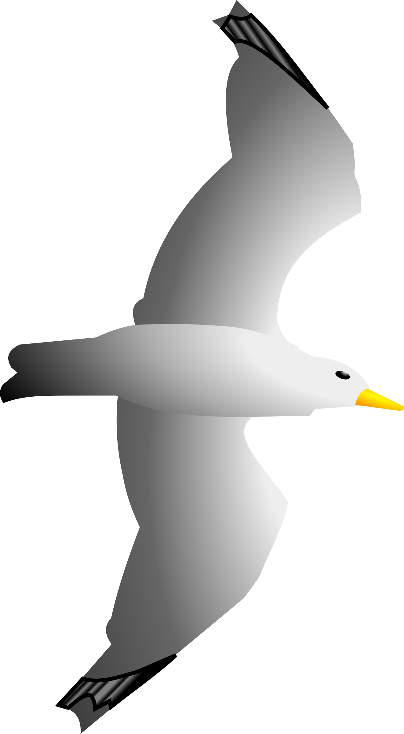 This Free Icons Png Design Of Seagull Remix (1323x2400), Png Download