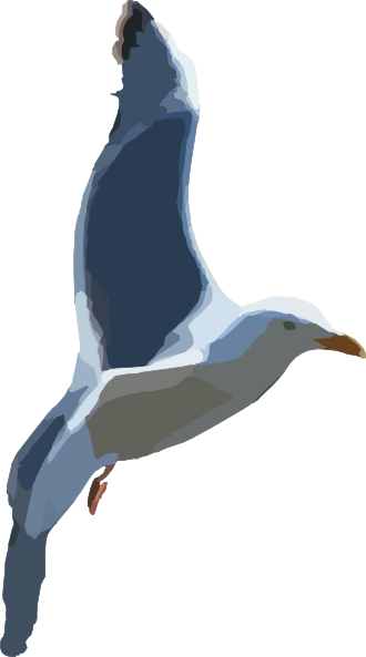 How To Set Use Seagull Clipart (330x593), Png Download