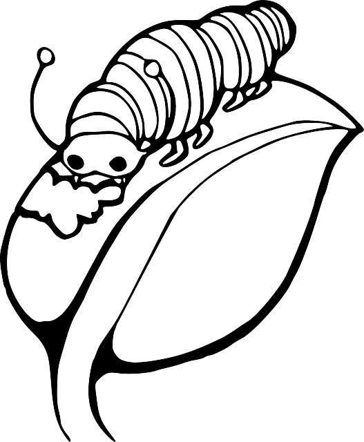 Black, Worm, Outline, Leaf, White, Cartoon, Caterpillar - Caterpillar On A Leaf Clipart (527x640), Png Download