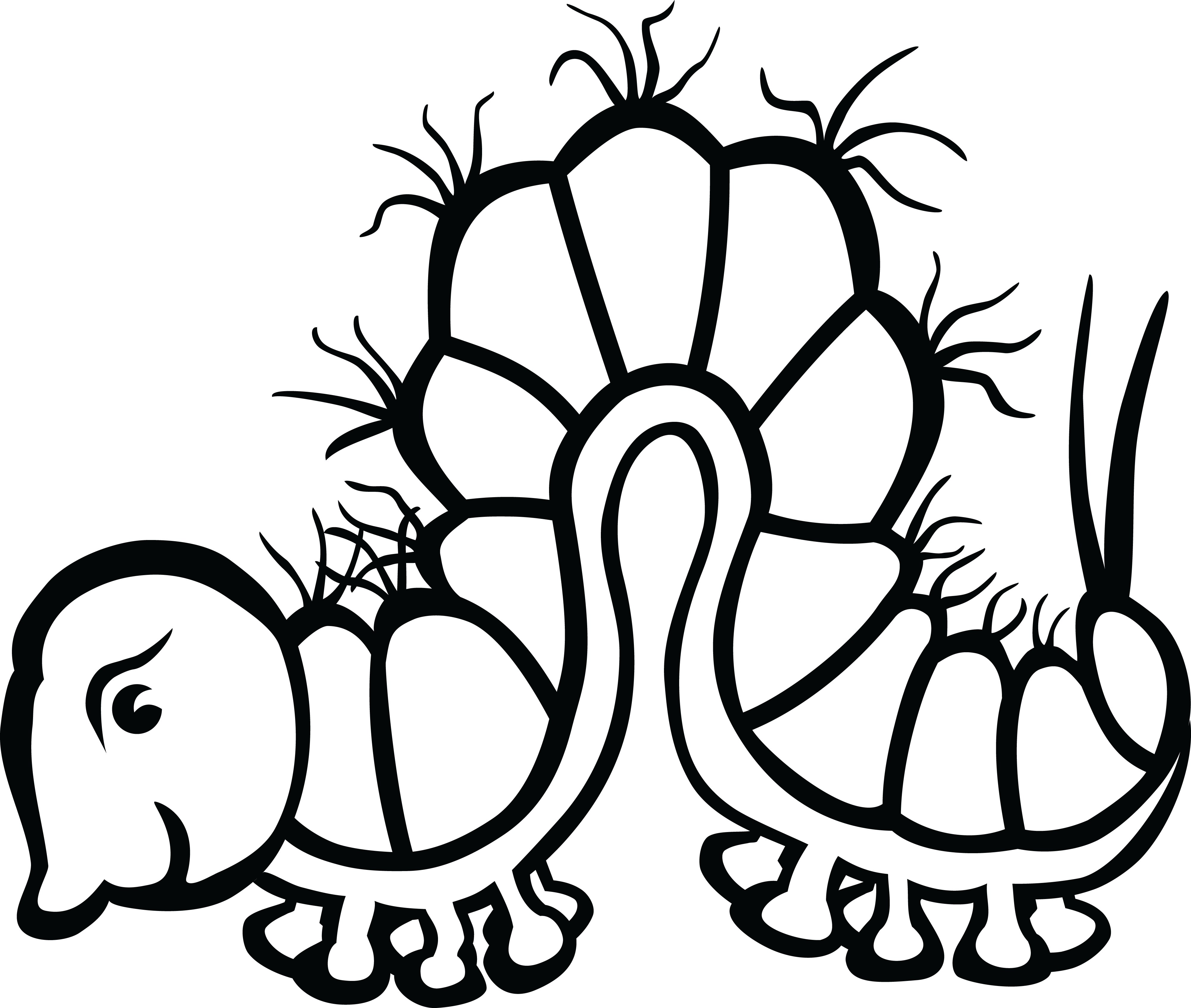 , , - Line Drawing Of A Real Caterpillar (4000x3386), Png Download