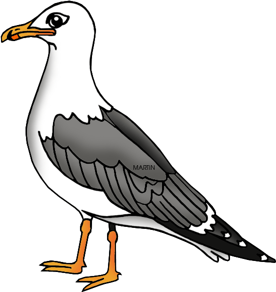Sea Bird Clipart Seagull - Sea Gull Clip Art (594x648), Png Download
