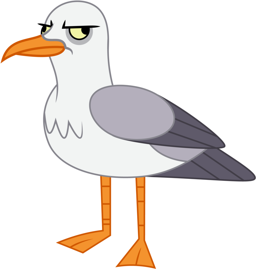 Amarthgul, Bird, Safe, Seagull, Simple Background, - Seagull Clear Background (894x894), Png Download