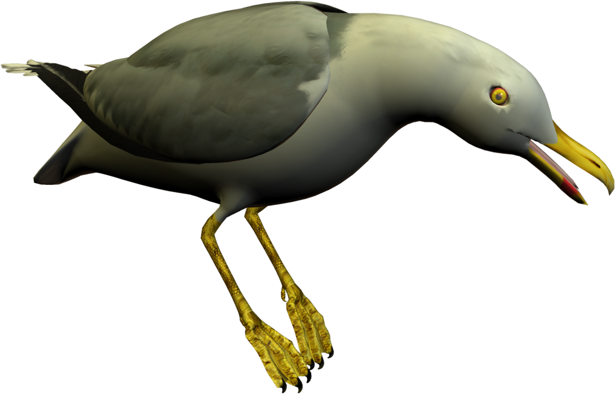 Seagull Clipart Free To Use Clip Art Resource - Clip Art (1304x911), Png Download