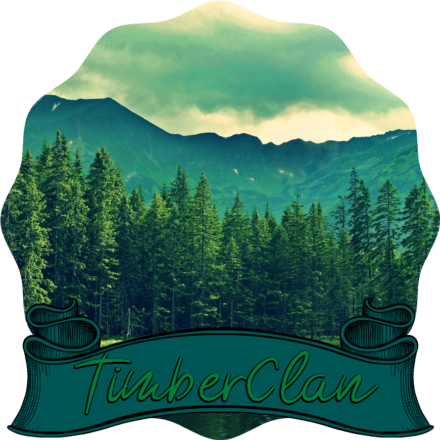 Pine Trees Near Mountain Lake (1600x900), Png Download