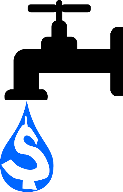 Water, Water Tap, Tap, Faucet, Cost, Dollars - Water Tap Clipart (410x640), Png Download