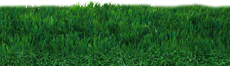 Field Png Transparent - Transparent Soccer Field Png (960x275), Png Download