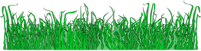 Border Divider Grass Grass Grass Grass Gra - Grass Icons (680x340), Png Download