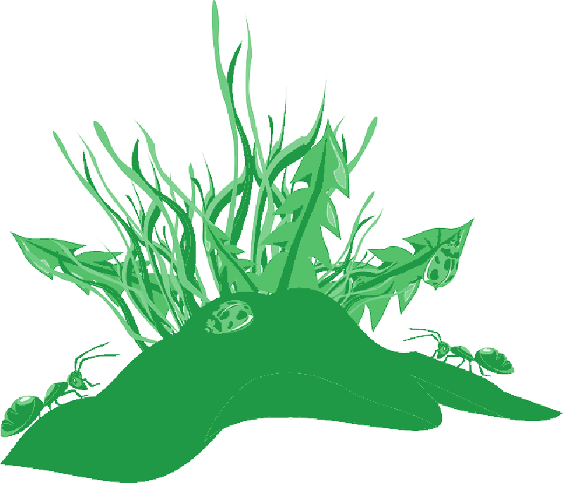 Mb Image/png - Ants Clip Art (800x687), Png Download