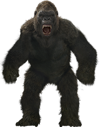"king" Kong - Https - //static - Tvtropes - Org/pmwiki/pub/images/ - King Kong Height 2017 (350x445), Png Download