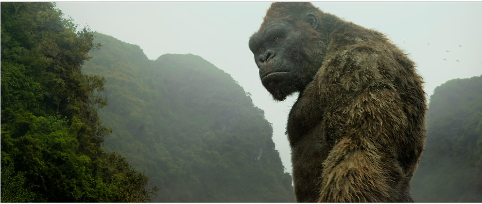 Why Vietnam Was The Perfect Location For Kong - King Kong Kong Skull Island (991x557), Png Download