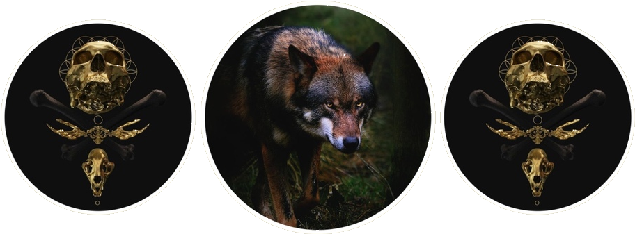 Welwyn Aesthetic Circles - Should I Apologize For The Monster I Have Become? No (1000x378), Png Download