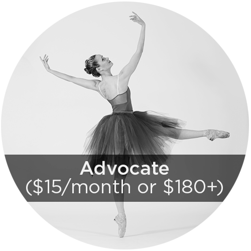 Advo Donation Circles - Portable Network Graphics (500x500), Png Download