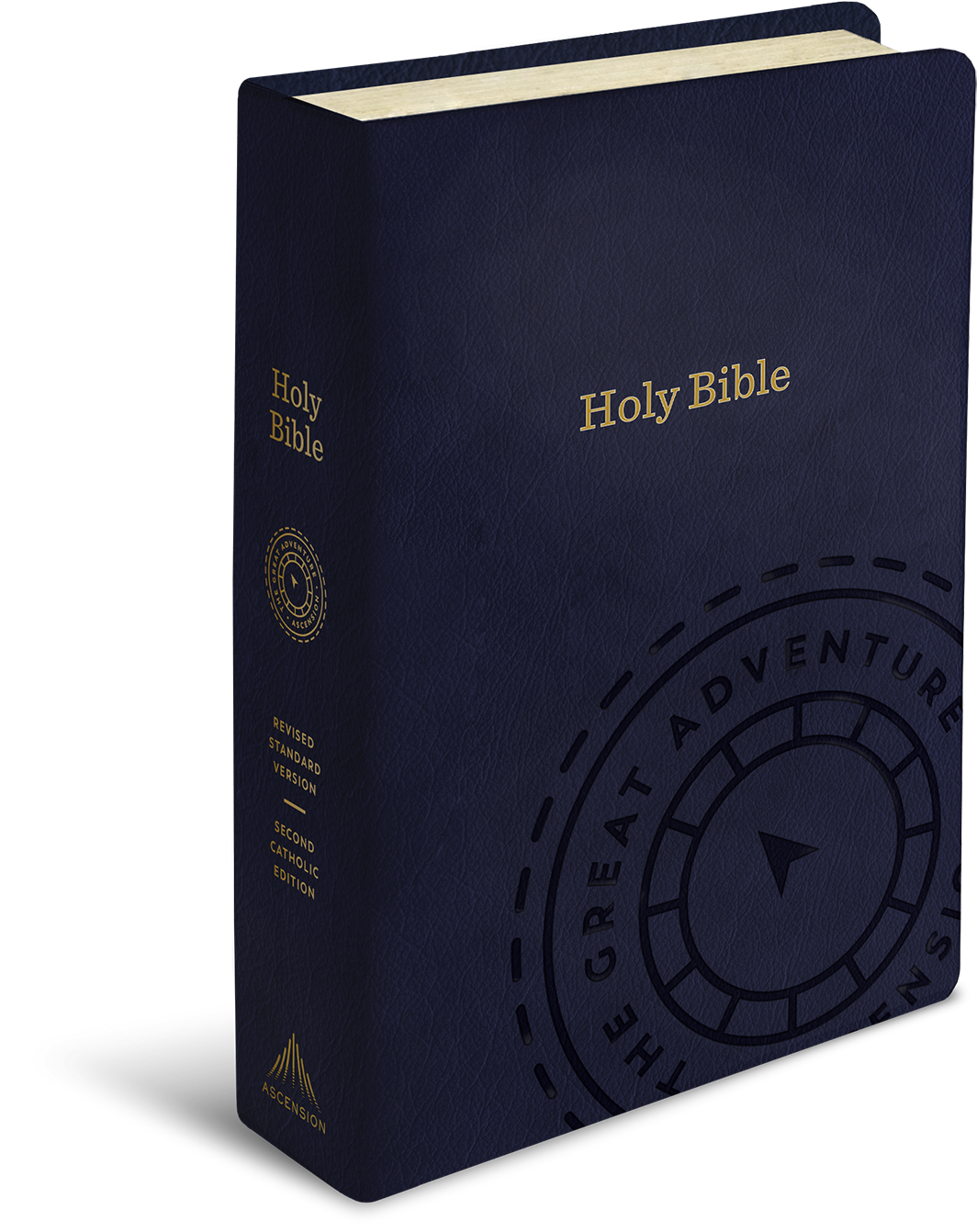 Each Of These Sections Has Its Own Color, And Every - Box (1539x1575), Png Download