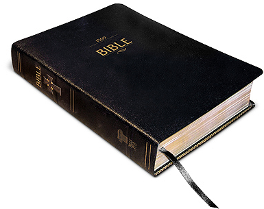 Download - Bible (400x320), Png Download