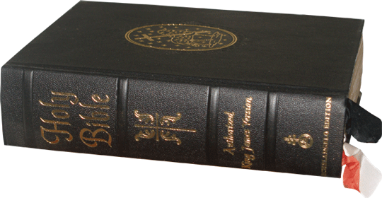 Commissioned - Leather (540x280), Png Download