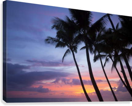 Palm Trees At Sunset, Keawekapu Beach - Printscapes Wall Art: 18" X 12" Canvas Print With Black (429x344), Png Download