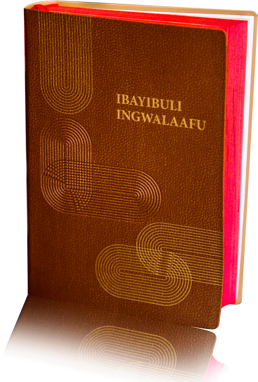 Psblumasaaba-bible - Book Cover (1334x1334), Png Download