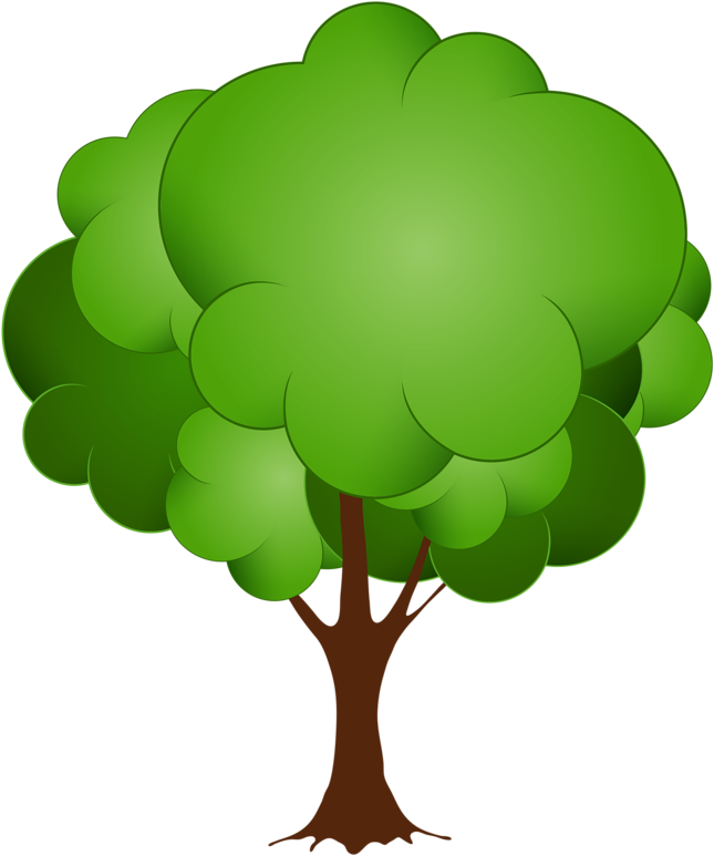 8 - Tree Clipart Png (673x800), Png Download