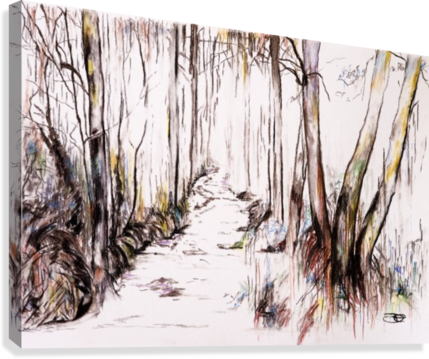 Woodland Stream Canvas Print - Birch (429x359), Png Download