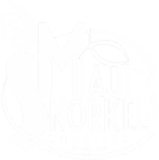 Maui Snorkel Charters Maui Snorkel Charters - Hawaii Rules Of Evidence; 2017 Edition (550x554), Png Download