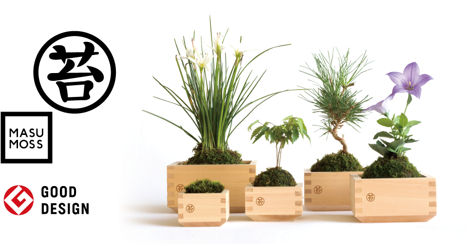 Masu Moss Masumoss Is A Green Interior Decoration, - Masumosu (1120x500), Png Download