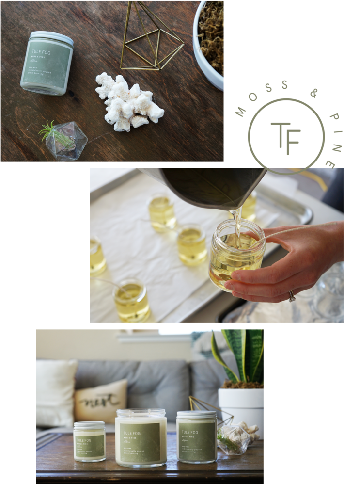 Moss Pine - Soy Candle (800x1051), Png Download