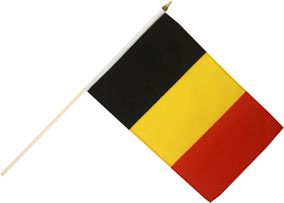 Belgique Flag Shield Belgium Crest Coat Arms Family - Belgium Flag Transparent Background (1000x785), Png Download