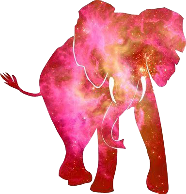 Trans Par En Cy - Watercolor Pink Elephant (384x400), Png Download