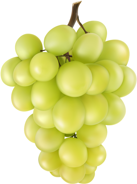 Grape Png Clip Art Image - Seedless Fruit (449x600), Png Download