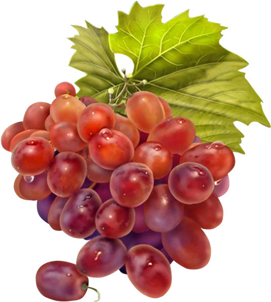 Dekupaj Resi̇mleri̇ Grape Painting, Fruit - Imagens De Frutas (586x640), Png Download