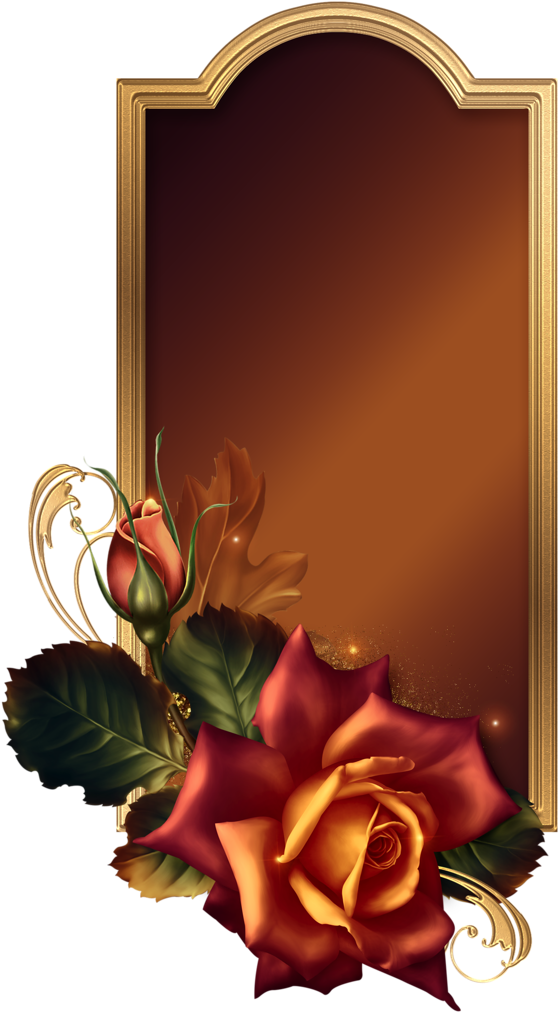 November Embers November, November Born - November (571x1024), Png Download