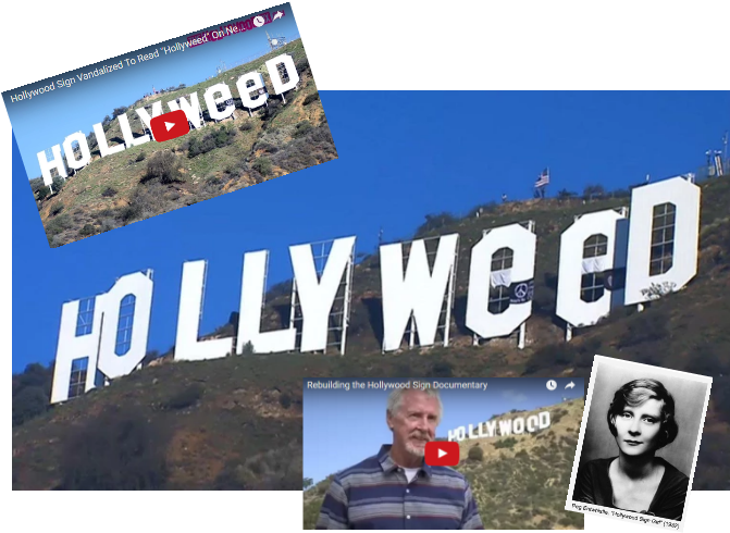 Prankster Changes Famous 'hollywood' Sign To 'hollyweed' - Hollywood Sign (700x510), Png Download